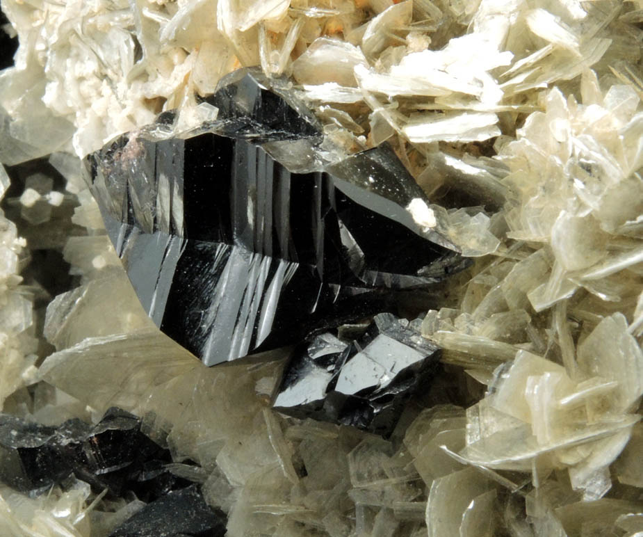 Cassiterite (twinned crystals) on Muscovite from Xuebaoding Mountain near Pingwu, Sichuan Province, China