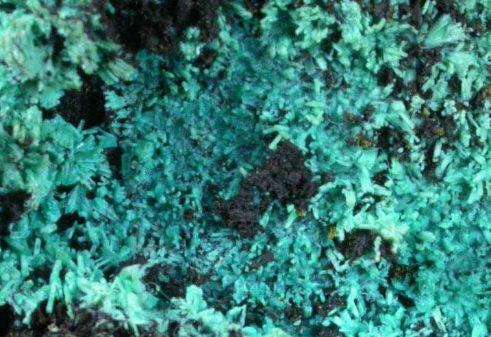 Chrysocolla pseudomorphs after Hemimorphite with Wulfenite from 79 Mine, Banner District, near Hayden, Gila County, Arizona