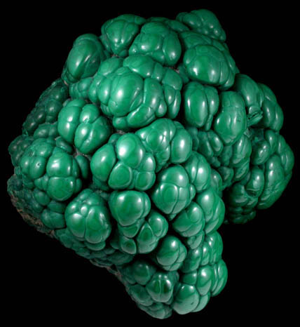 Malachite (polished) from Kolwezi Mining District, 240 km WNW of  Lubumbashi, Katanga Copperbelt, Lualaba Province, Democratic Republic of the Congo