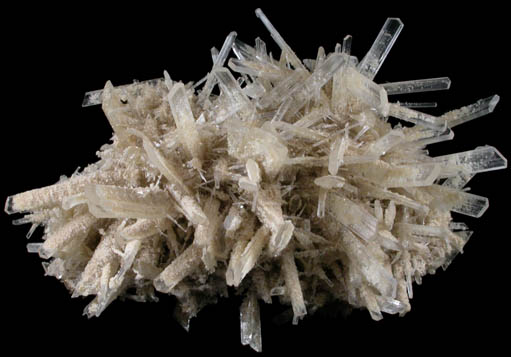 Gypsum var. Selenite from Whyalla, Eyre Peninsula, South Australia, Australia