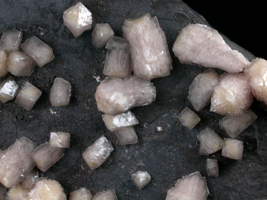 Olmiite-Poldervaartite on Hematite from N'Chwaning Mine, Kalahari Manganese Field, Northern Cape Province, South Africa (Type Locality for Olmiite)