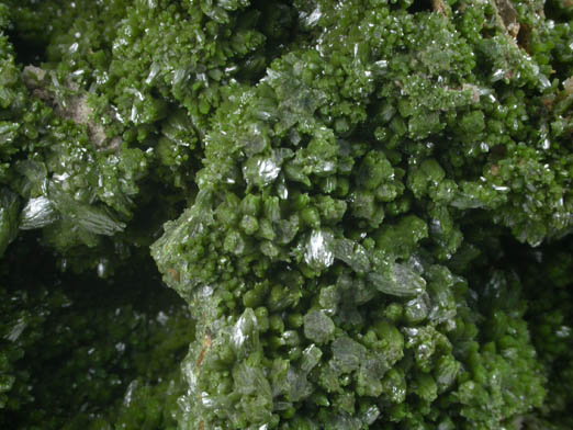 Pyromorphite from Wheatley Mine, Phoenixville, Chester County, Pennsylvania