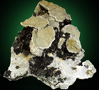 Babingtonite with Pyrite on Quartz from Lane's Quarry, Westfield, Hampden County, Massachusetts