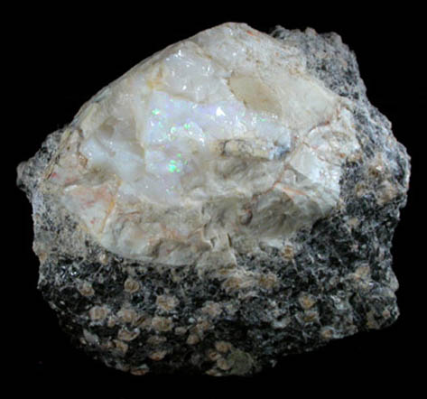 Opal (Fire Opal) from Virgin Valley, Humboldt County, Nevada
