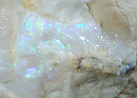 Opal (Fire Opal) from Virgin Valley, Humboldt County, Nevada