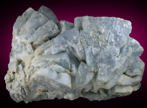 Celestine from Austin, Travis County, Texas