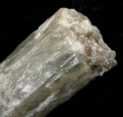 Edenite from Lime Crest Quarry (Limecrest), Sussex Mills, 4.5 km northwest of Sparta, Sussex County, New Jersey