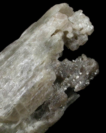 Edenite from Lime Crest Quarry (Limecrest), Sussex Mills, 4.5 km northwest of Sparta, Sussex County, New Jersey