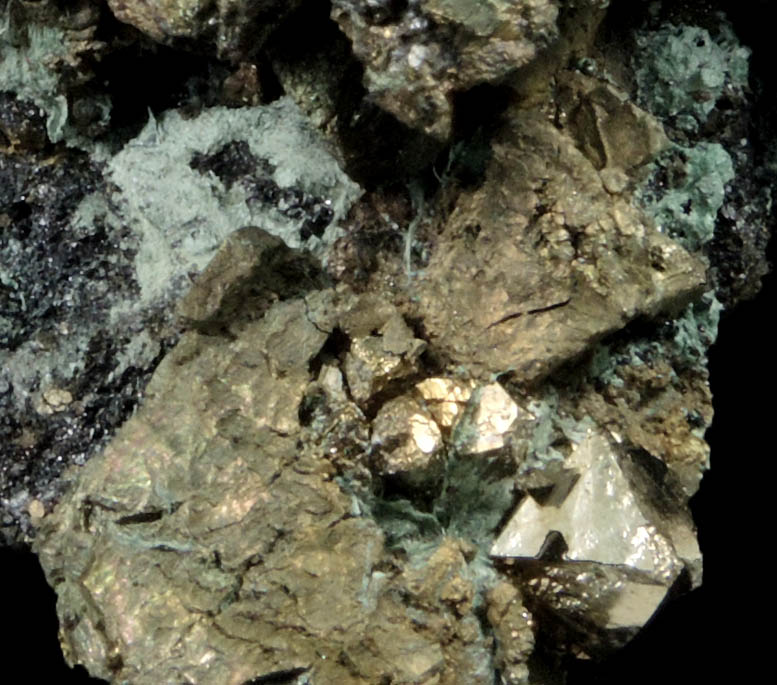 Chalcopyrite, Magnetite, Pyrite, Actinolite var. Byssolite from French Creek Iron Mines, St. Peters, Chester County, Pennsylvania