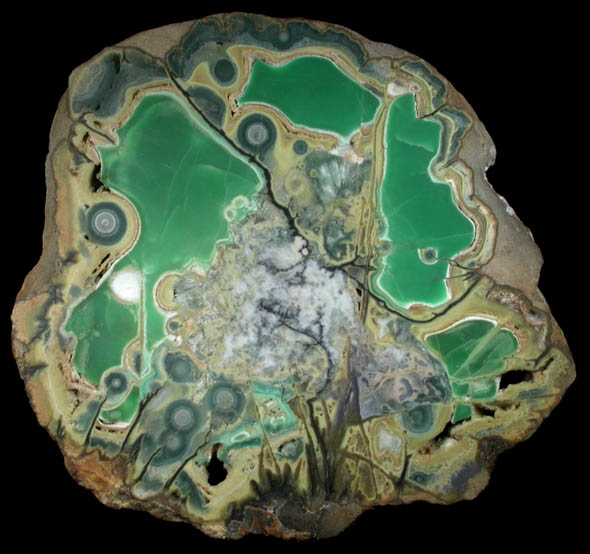Variscite, Crandallite, Wardite, Millisite from Little Green Monster Mine, Clay Canyon, Fairfield, Utah County, Utah (Type Locality for Wardite and Millisite)