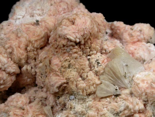 Albite with Stilbite from Summit, Essex County, New Jersey