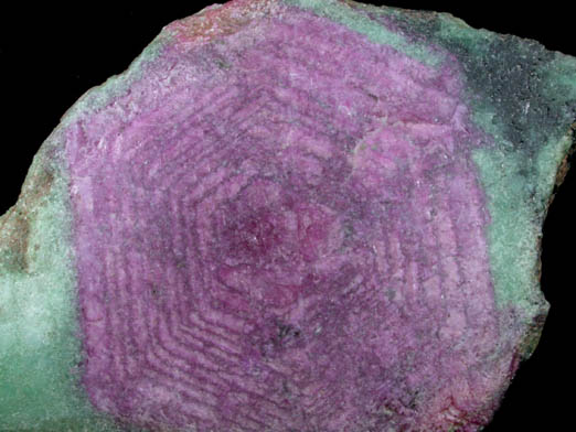 Corundum var. Ruby in Zoisite from Arusha, Tanzania