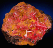 Crocoite on Bindheimite from Dundas, Tasmania, Australia