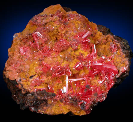 Crocoite on Bindheimite from Dundas, Tasmania, Australia