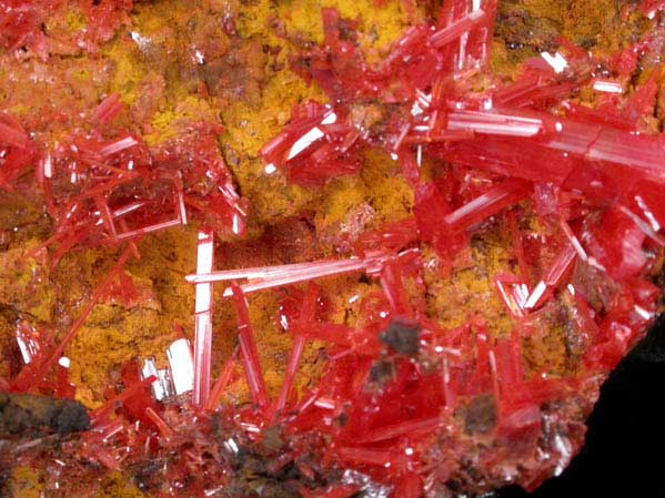 Crocoite on Bindheimite from Dundas, Tasmania, Australia