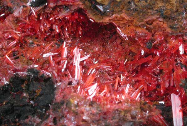 Crocoite from Red Lead Mine, Dundas, Tasmania, Australia