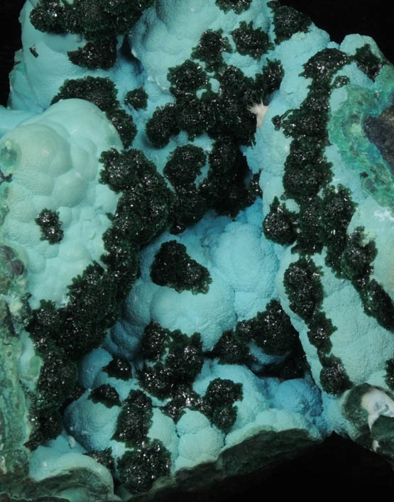 Malachite on Chrysocolla from L'Etoile du Congo Mine, Lubumbashi, Katanga Copperbelt, Haut-Katanga Province, Democratic Republic of the Congo