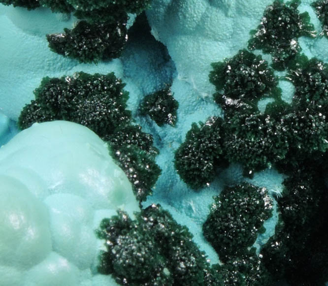 Malachite on Chrysocolla from L'Etoile du Congo Mine, Lubumbashi, Katanga Copperbelt, Haut-Katanga Province, Democratic Republic of the Congo