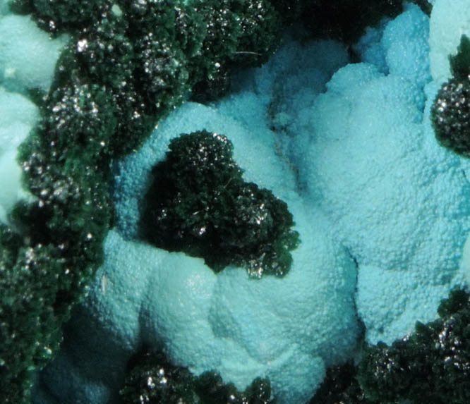 Malachite on Chrysocolla from L'Etoile du Congo Mine, Lubumbashi, Katanga Copperbelt, Haut-Katanga Province, Democratic Republic of the Congo