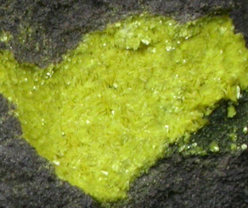 Tyuyamunite from Ridenaur Mine, Prospect Canyon, Coconino County, Arizona