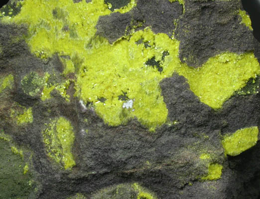 Tyuyamunite from Ridenaur Mine, Prospect Canyon, Coconino County, Arizona