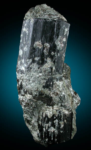 Schorl Tourmaline from Haddam, Middlesex County, Connecticut