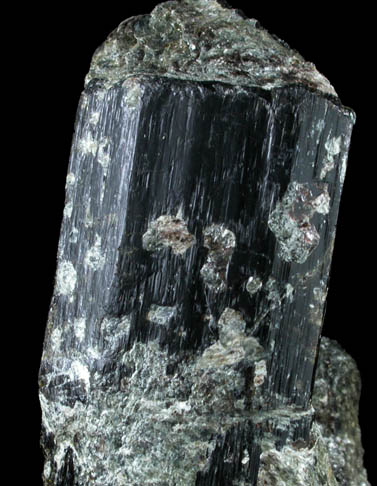 Schorl Tourmaline from Haddam, Middlesex County, Connecticut