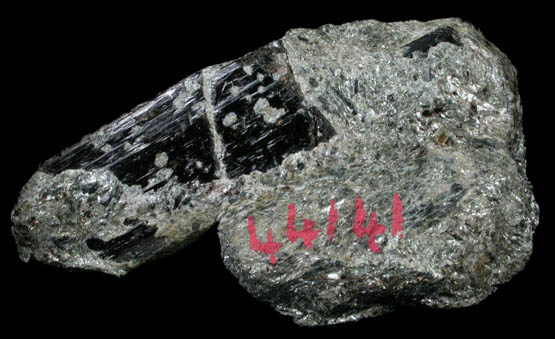 Schorl Tourmaline from Haddam, Middlesex County, Connecticut