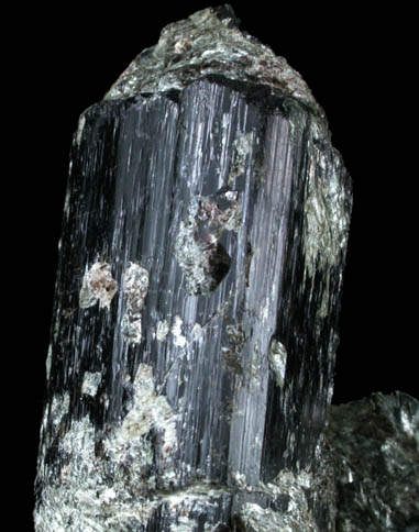 Schorl Tourmaline from Haddam, Middlesex County, Connecticut