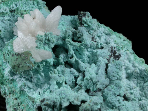 Cerussite on Chrysocolla pseudomorphs after Wulfenite from 79 Mine, Banner District, near Hayden, Gila County, Arizona