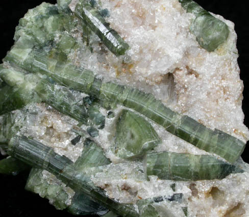 Elbaite Tourmaline in Cookeite from Mount Mica Quarry, Paris, Oxford County, Maine (Type Locality for Cookeite)