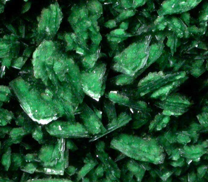 Torbernite from Musonoi Mine, Kolwezi District, Katanga Copperbelt, Lualaba Province, Democratic Republic of the Congo