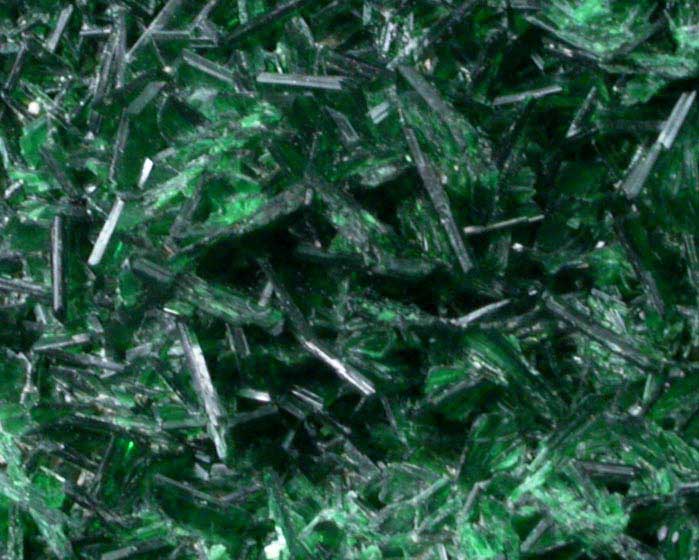 Torbernite from Musonoi Mine, Kolwezi District, Katanga Copperbelt, Lualaba Province, Democratic Republic of the Congo