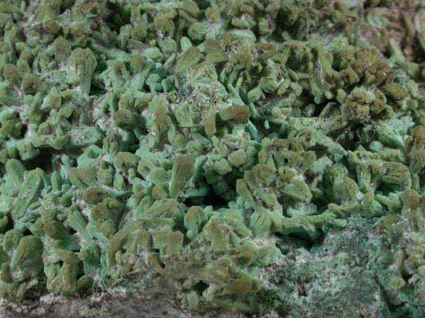 Chrysocolla pseudomorphs after Stilbite from Little Falls Quarry, on campus of Montclair State University, Essex County, New Jersey