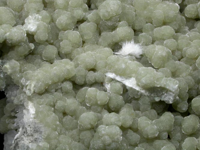 Gyrolite over Laumontite with Okenite from Pune District, Maharashtra, India