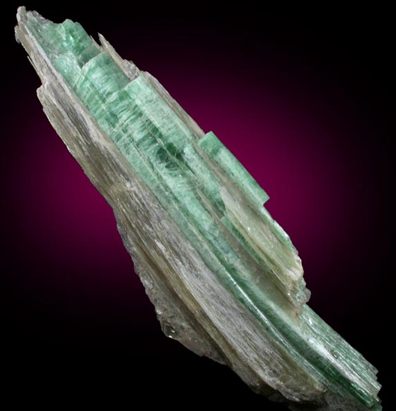 Elbaite Tourmaline in Muscovite from Mount Mica Quarry, Paris, Oxford County, Maine