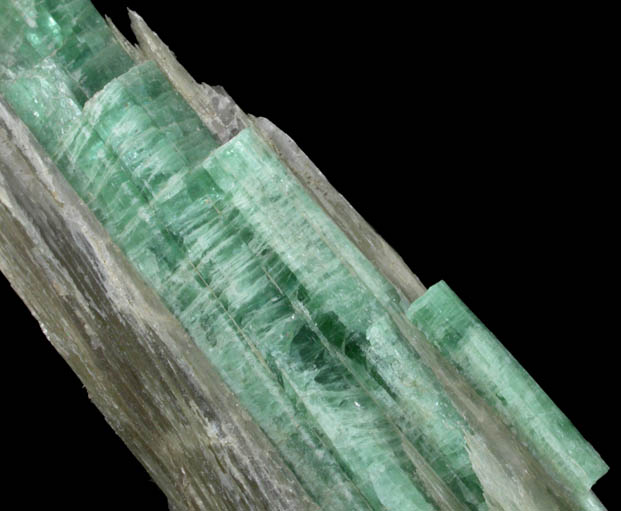 Elbaite Tourmaline in Muscovite from Mount Mica Quarry, Paris, Oxford County, Maine