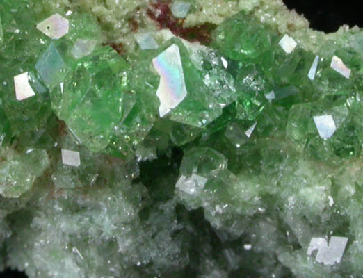 Grossular Garnet with Diopside from Jeffrey Mine, Asbestos, Qubec, Canada