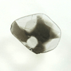 Diamond (0.35 carat polished slice with sector-zoned inclusions) from Zimbabwe