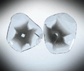 Diamond (two matched polished slices with sector-zoned inclusions totaling 0.85 carats) from Zimbabwe