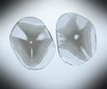 Diamond (two matched polished slices with sector-zoned inclusions totaling 0.50 carats) from Zimbabwe