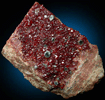 Grossular Garnet with Clinochlore from Val d'Ala, Piemonte, Italy