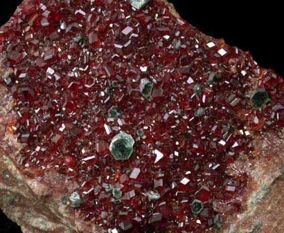 Grossular Garnet with Clinochlore from Val d'Ala, Piemonte, Italy