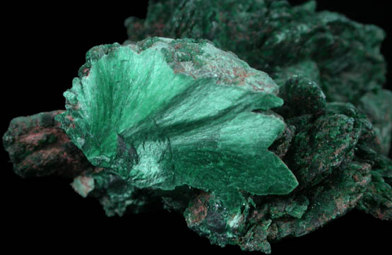 Malachite pseudomorphs after Azurite from Tsumeb Mine, Otavi-Bergland District, Oshikoto, Namibia