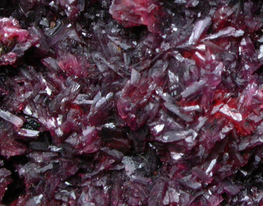 Wendwilsonite from Aghbar Mine, 10 km east of Bou Azzer Mine, Zagora, Dra-Tafilalet, Morocco (Type Locality for Wendwilsonite)