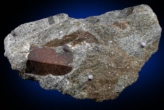 Staurolite with Almandine Garnet from Pond Hill, near Pearl Lake, Lisbon, Grafton County, New Hampshire