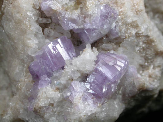 Fluorapatite on Quartz and Albite from Harvard Quarry, Noyes Mountain, Greenwood, Oxford County, Maine