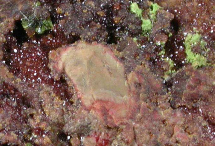 Sonoraite on Jarosite from Joe Shaft, Tombstone District, Cochise County, Arizona