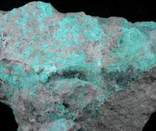 Ajoite from Ajo, Pima County, Arizona (Type Locality for Ajoite)