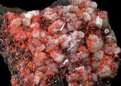 Cerussite and Crocoite from Magnet Mine, 10km West of Waratah, Tasmania, Australia